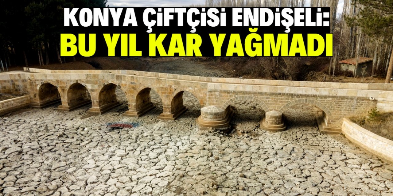 Konya Ovası'nda durum kritik! Tarladaki tohumlar çürümeye başladı