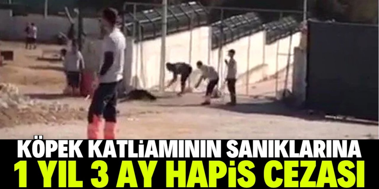 Konya'daki köpek katliamının sanıklarına 1 yıl 3 ay hapis cezası