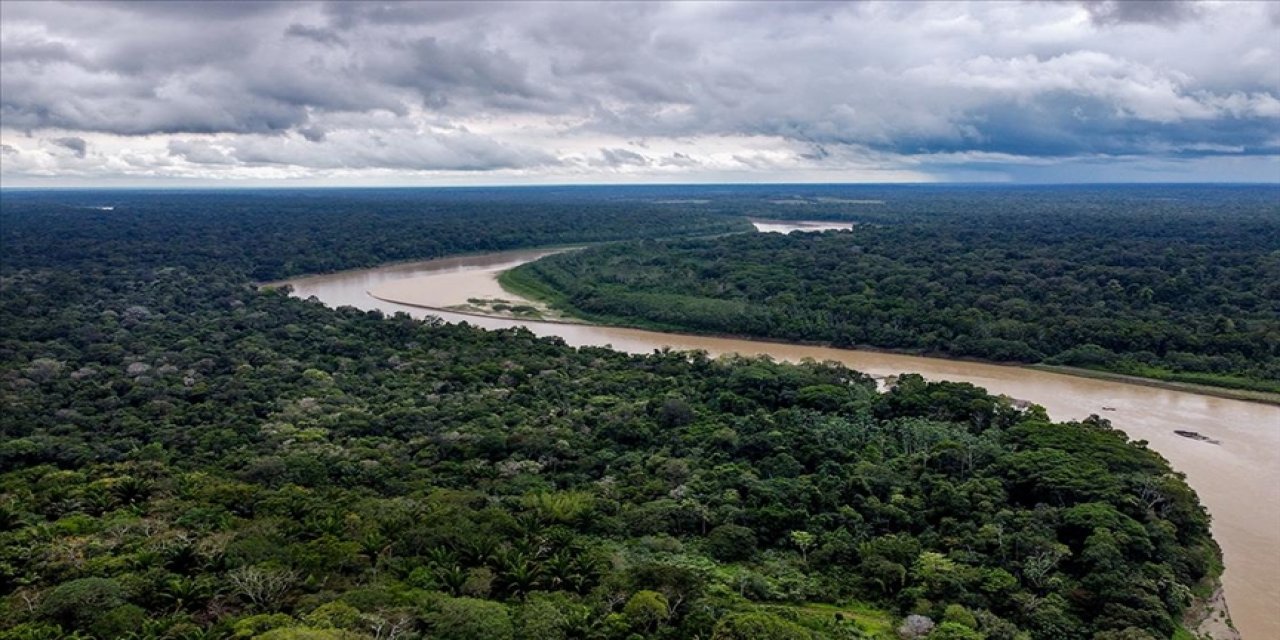 Amazonlar'da 2022’de günde 3 bin futbol sahası büyüklüğünde orman yok oldu