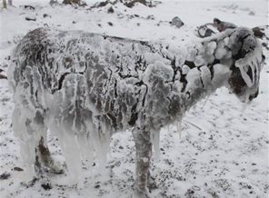 Mutlu son: Kurtarıldılar