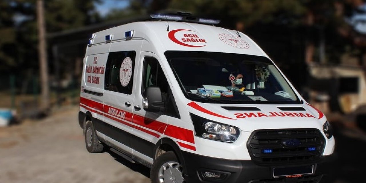 Konya'da sokak köpeklerinin kovaladığı anne ve kızı yaralandı