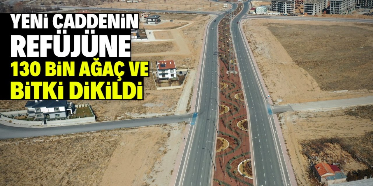 Konya'daki yeni caddenin refüjüne 130 bin ağaç ve bitki dikildi