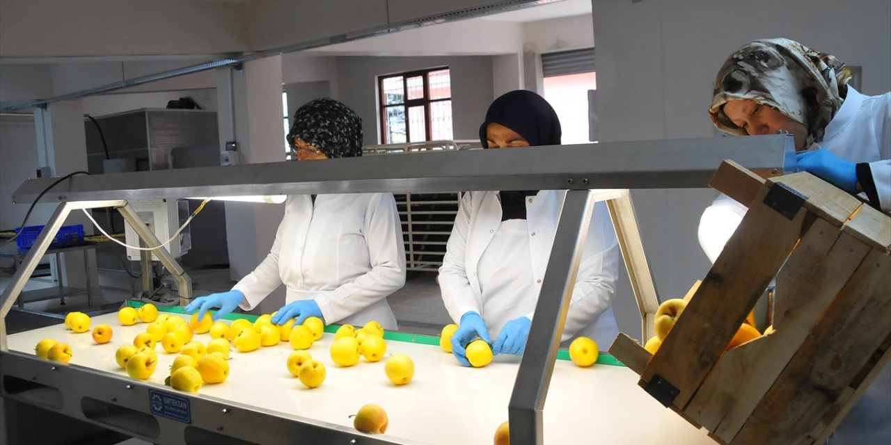 Konya'da 2,5 milyon liraya maliyetle meyve kurutma tesisi kuruldu