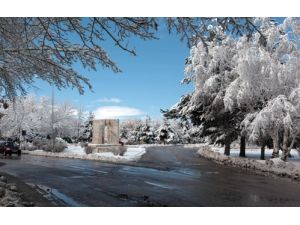 Aü, Soğuk Havaya Karşı Ring Seferleri Başlattı