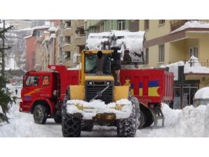 Yurtta Kış: Hakkari’de 80 Köy Yolu İle 238 Mezra Yolu Kapalı