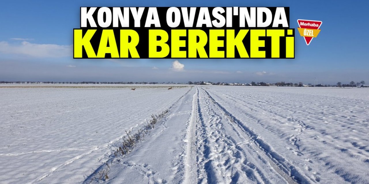 Konya Ovası'nda kar bereketi