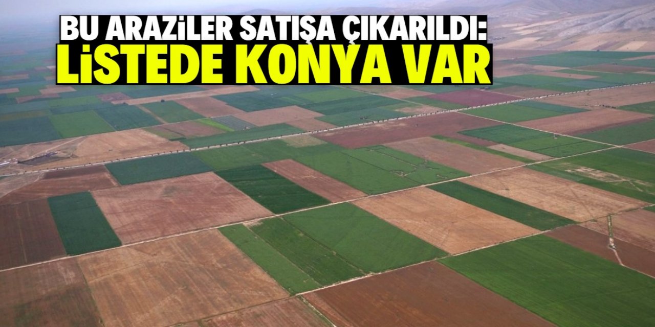 Milli Emlak Konya dahil 39 ilde hazine arazisi satacak! Tam liste