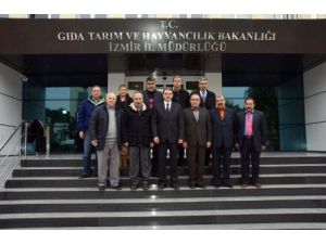 Adanalı Üreticiler, İzmir’de Organik Tarımı İnceledi