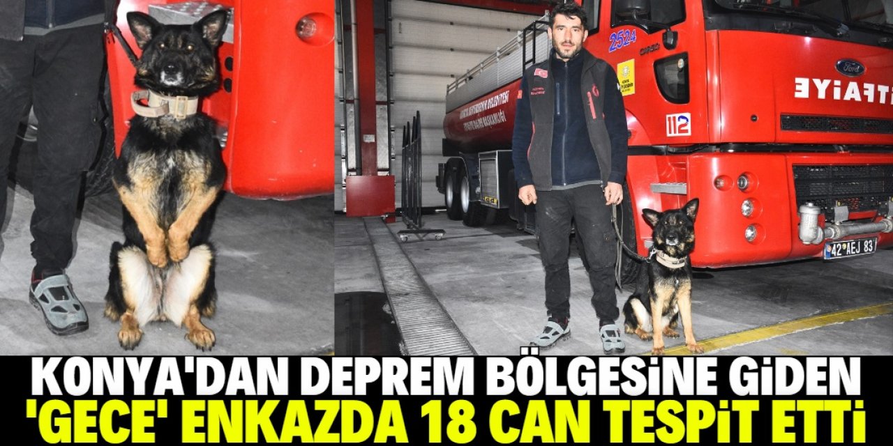 Konya'dan Hatay'a giden 'Gece' isimli köpek enkaz altındaki 18 kişiyi tespit etti