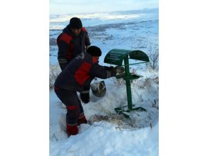 Ali Dağı’ndaki Yaban Hayvanları Unutulmadı