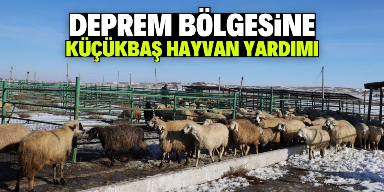 Konya'nın ilçesinden deprem bölgesine 500 küçükbaş hayvan yardımı yapıldı