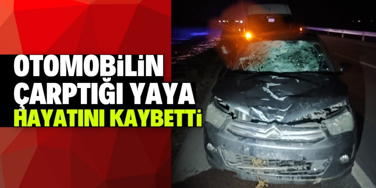 Karaman'da otomobilin çarptığı yaya hayatını kaybetti