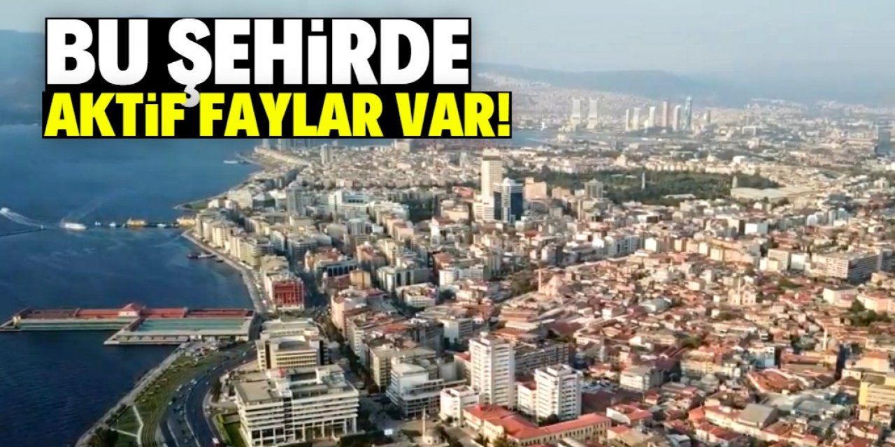 Bu şehirde aktif faylar tespit edildi! Deprem riski yüksek