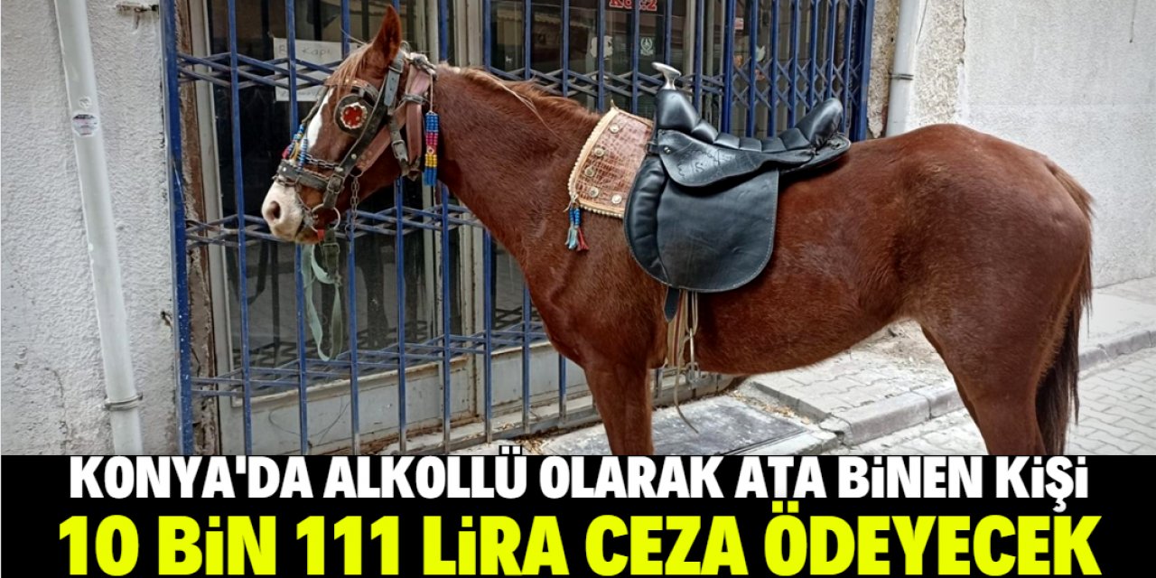 Konya'da alkollü olarak ata binen kişiye 10 bin 111 lira ceza