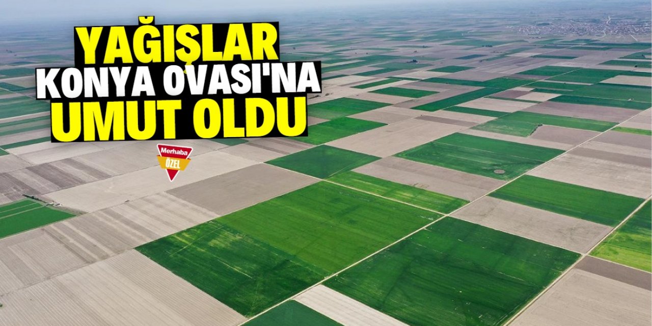 Konya Ovası’nda toprak suya doydu