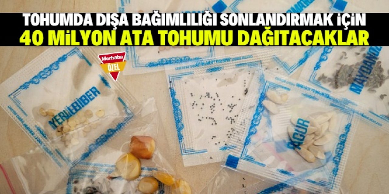 40 milyon ata tohumu dağıtılıyor: Konya’dan büyük talep var