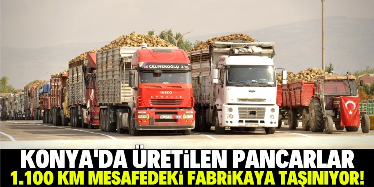 Konya'dan üretilen pancarlar 1.100 kilometre mesafedeki fabrikaya taşınıyor!