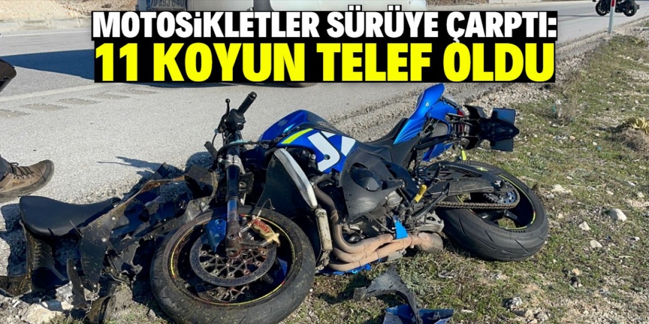 Karaman'da 2 motosikletin çarptığı sürüdeki  11 koyun telef oldu