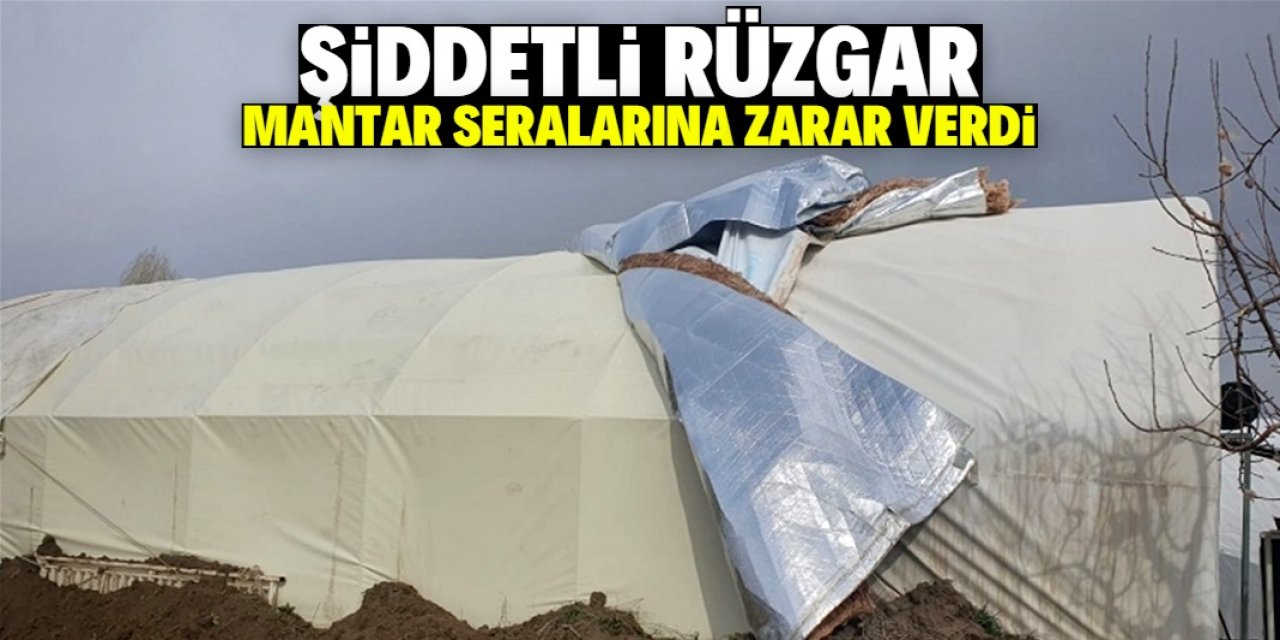 Yalıhüyük'te şiddetli rüzgar mantar seralarına zarar verdi