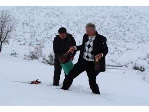 Yabani Hayvanlar İçin Doğaya Yem Bırakıldı