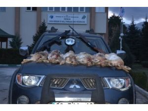 Projektörle Tavşan Avlayanlara Ceza Yağdı