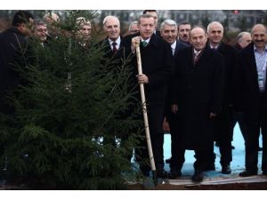Erdoğan: Mesele Yeşili Korumaksa, 37 Milyon Dekar Ağaçlandırma Yaptık