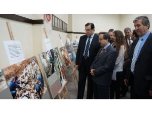 Aliya İzzetbegoviç, Ölümünün 10. Yılında Adana'da Anıldı