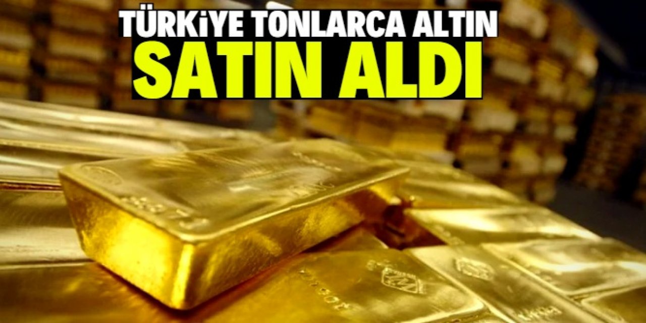 Türkiye son 1 yılda 161 ton altın satın aldı