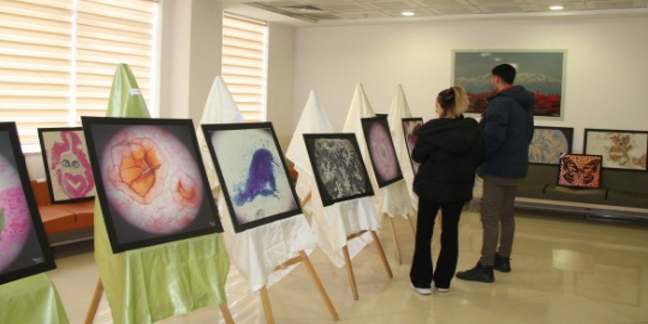 Konya'da mikro fotoğraf sergisi açıldı