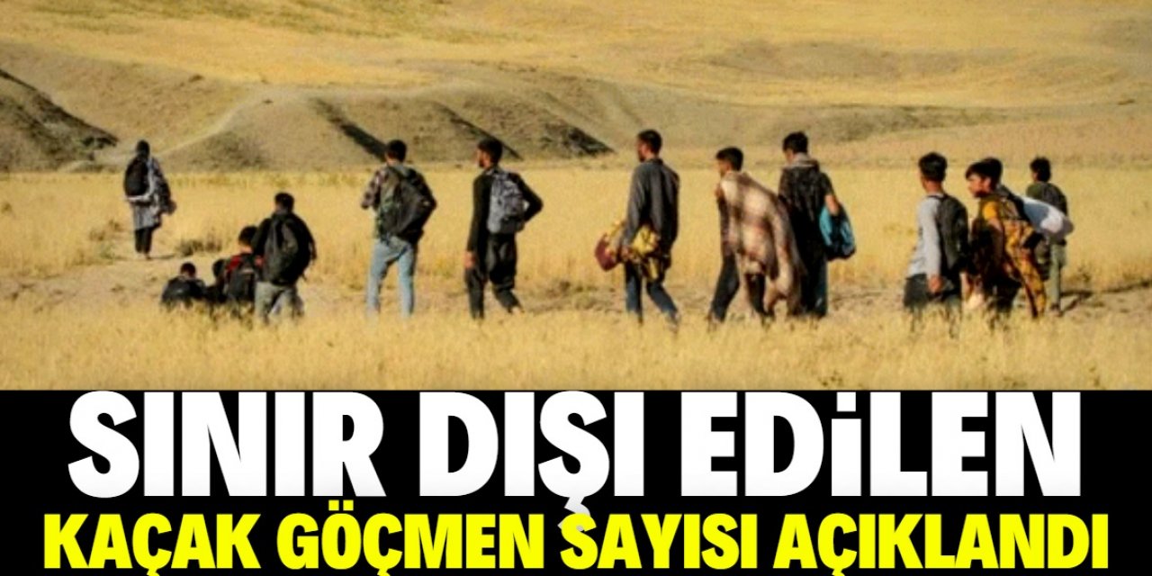 Sınır dışı edilen kaçak göçmen sayısı açıklandı