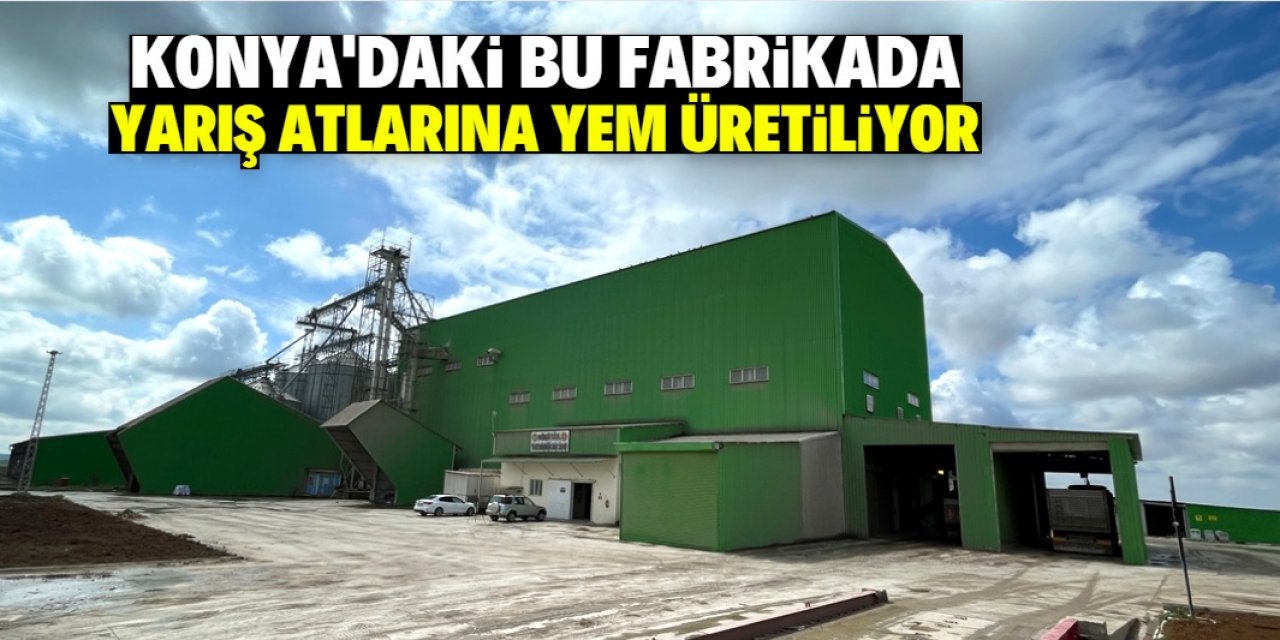 Konya'daki bu fabrikada yarış atlarına yem üretiliyor