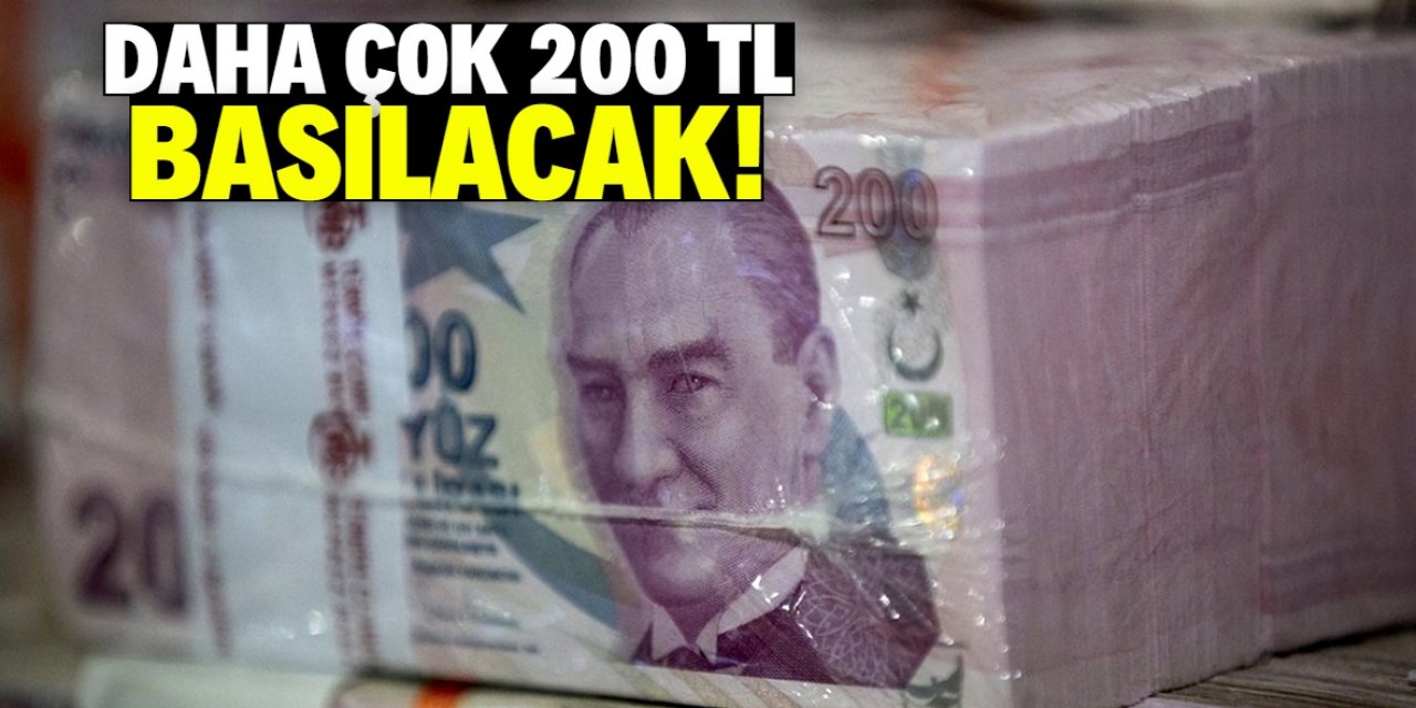 Türkiye'ye 3 TIR para kağıdı geliyor! 200 TL basımında kullanılacak