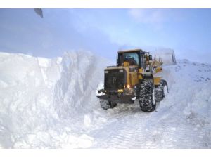 Hakkari'deki Kayak Merkezinin Yolu Açıldı