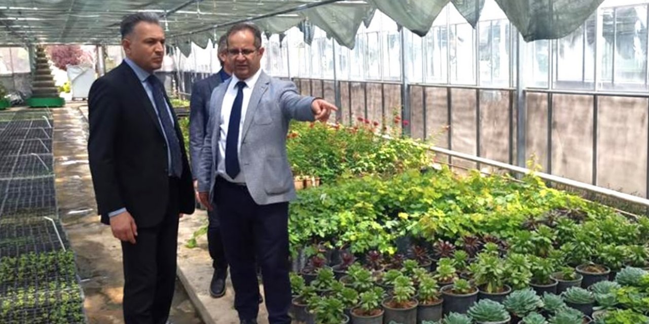 Konya'daki üniversite yıllık ortalama 65 bin bitki üretiyor