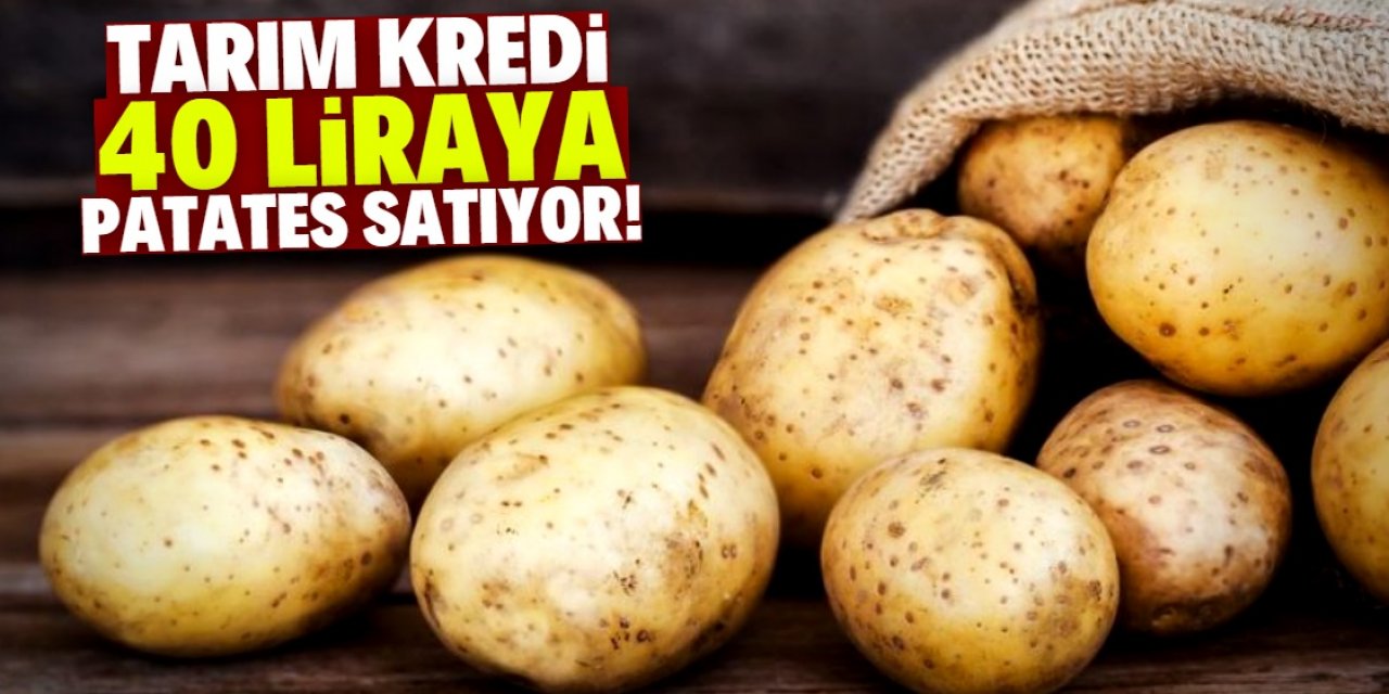 Tarım Kredi 40 liraya 1 kilo patates satıyor!