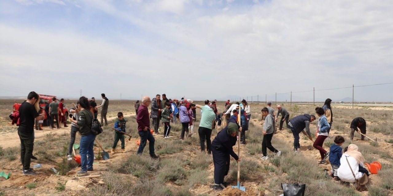 6 Şubat Deprem Şehitleri Hatıra Ormanına fidan dikildi