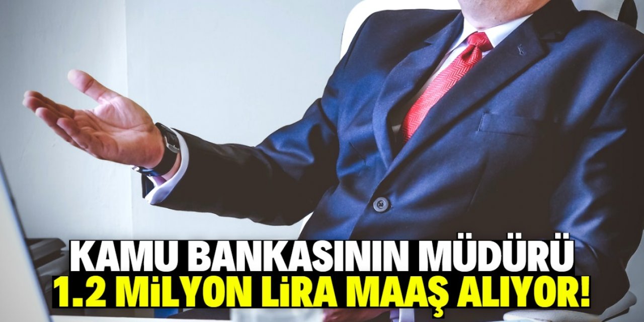 Türkiye'de kamu bankasının müdürü 1.2 milyon lira maaş alıyor!