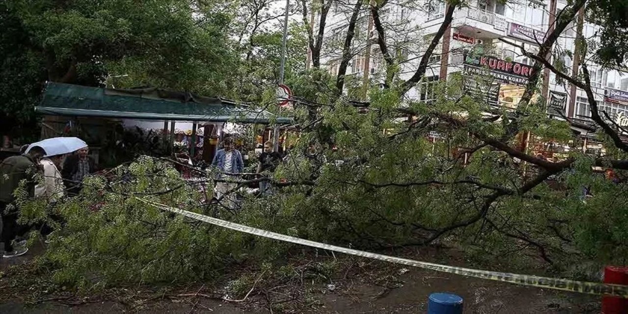 Başkentte şiddetli rüzgar ağaçları devirdi, çatıları uçurdu