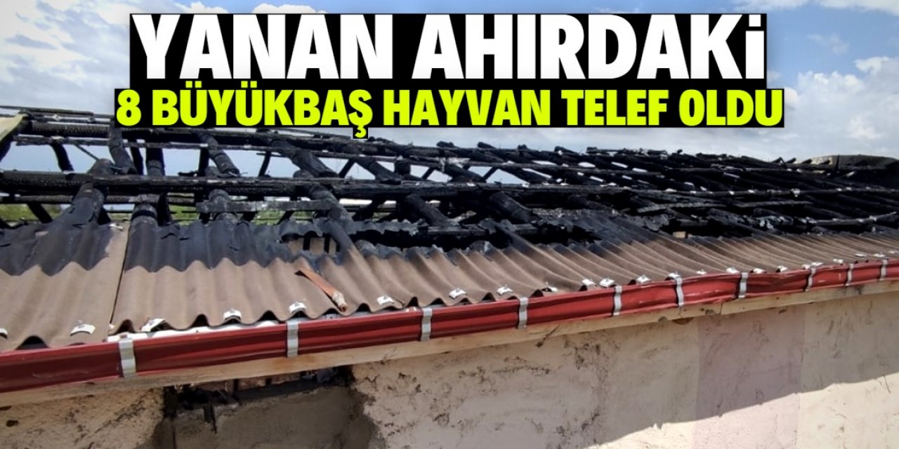 Konya'da yanan ahırdaki 8 büyükbaş hayvan telef oldu