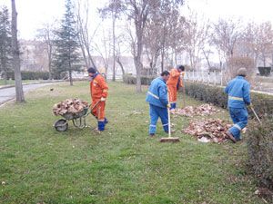 Selçuklu Belediyesi lodos temizliği yapıyor
