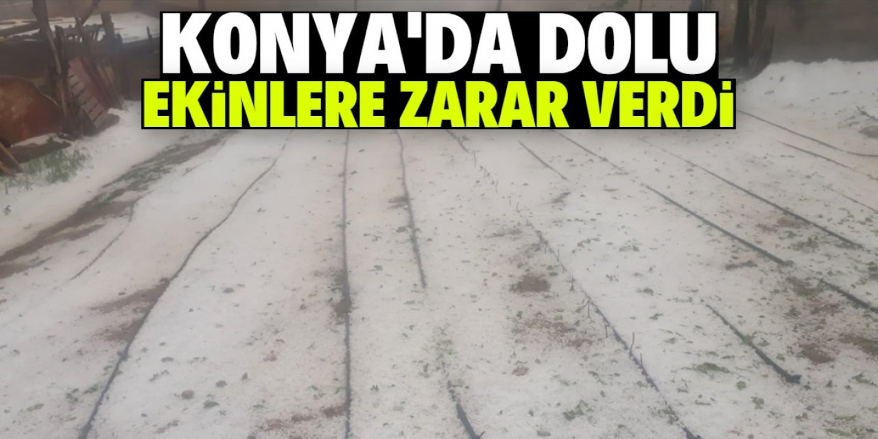 Konya'da dolu ekili arazilere zarar verdi