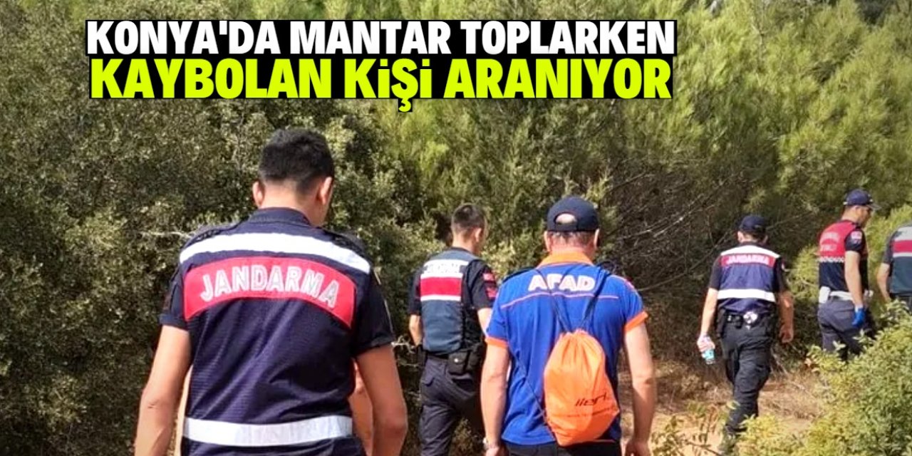 Konya'da mantar toplarken kaybolan kişi aranıyor