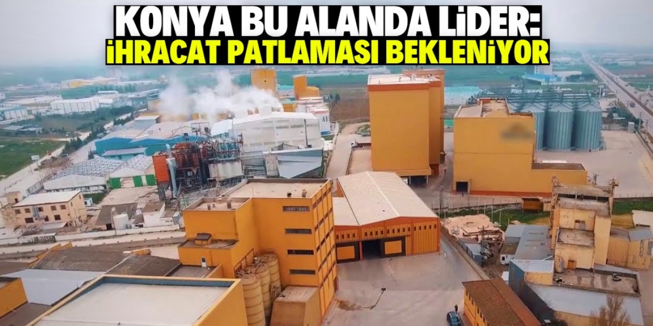 Konya'nın üretimde lider olduğu alanda ihracat patlaması bekleniyor