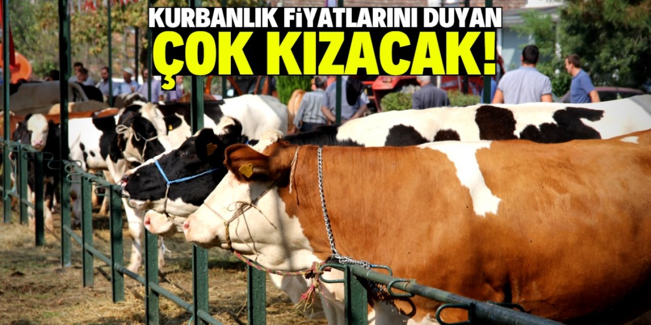 Kurban Bayramı'na az kaldı! Fiyatlar can sıkıyor