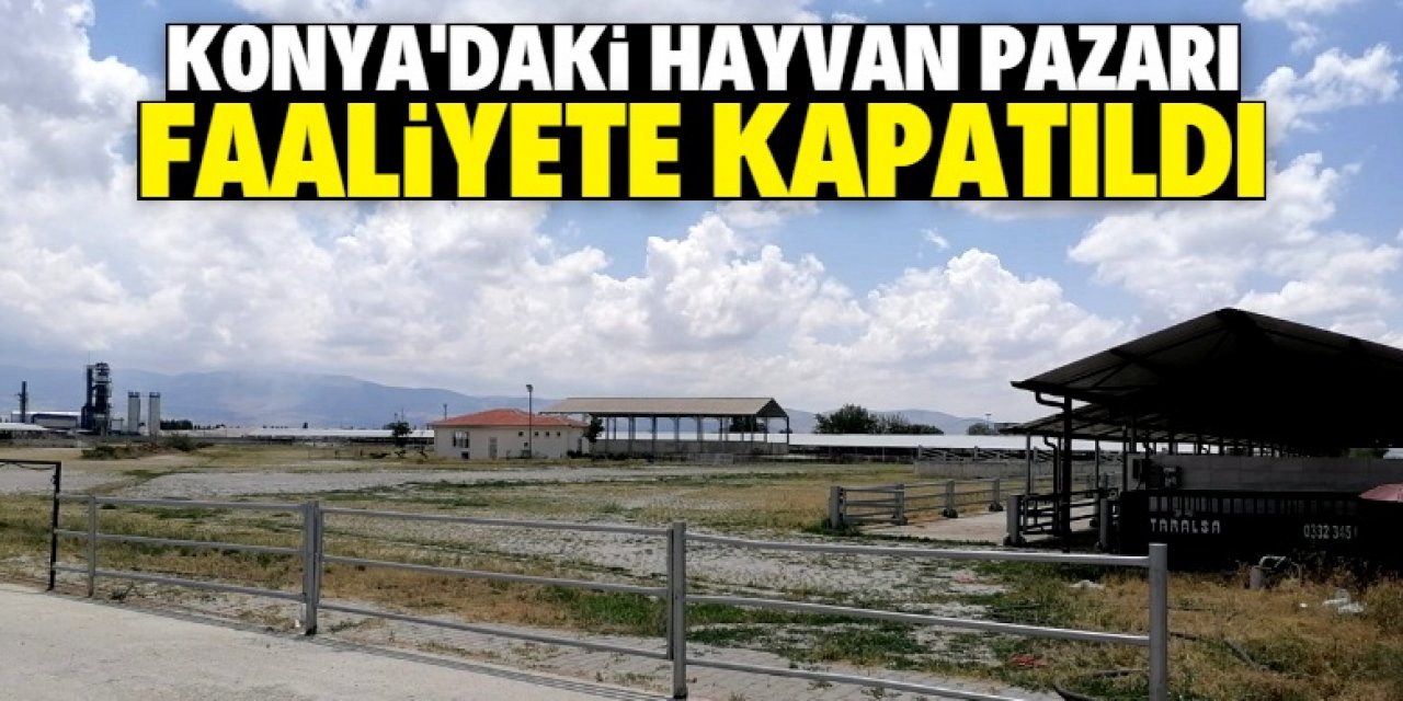 Konya'daki canlı hayvan pazarı faaliyete kapatıldı