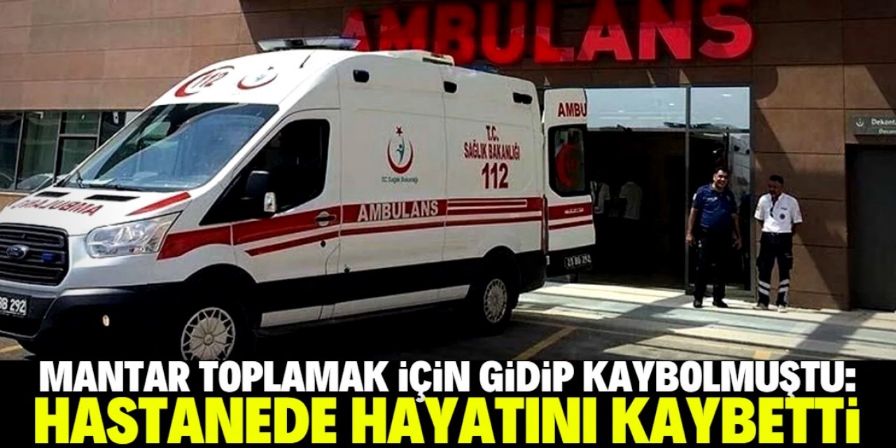 Mantar toplamak için gittiği dağda kaybolan kişi hayatını kaybetti