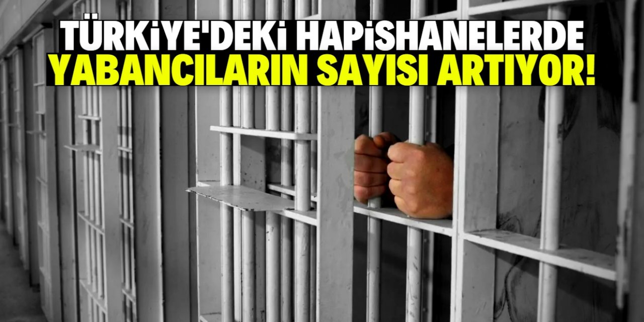 Türkiye'de yabancı mahkum sayısında korkutan artış!