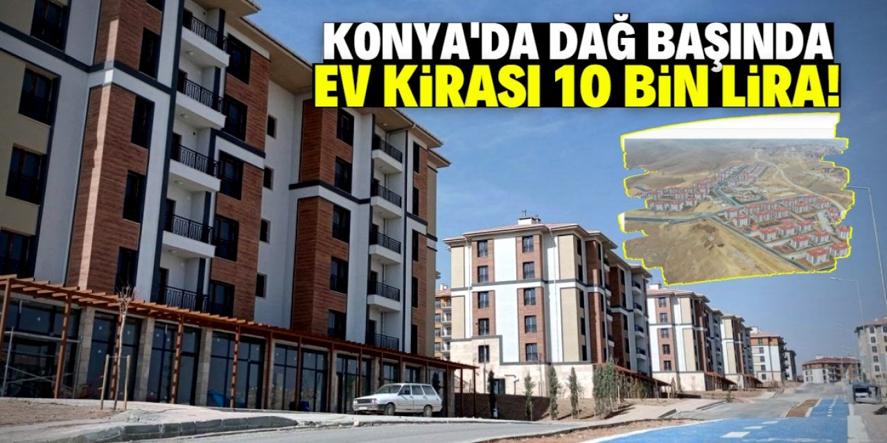 Konya'da dağ başındaki eve 10 bin lira kira istediler!