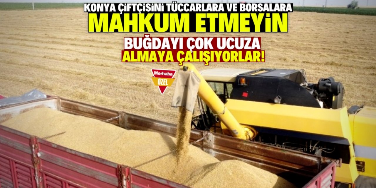 Konya Ticaret Borsası’nda buğday çok düşük fiyata işlem görüyor!