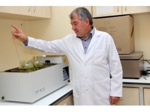 Kmü, Ceviz Kabuğundan Güneş Pili Üretti